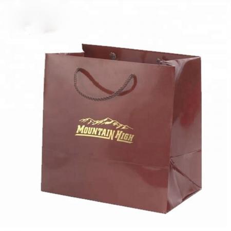 Supplier Design Custom Fancy Packaging Eco Luxury Paper Shopping Bags with Printing Brand Name Logo