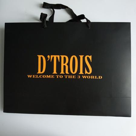 Custom Logo Luxury Black Shopping Gift Coated Paper Bag