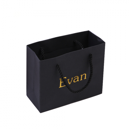 Luxury Custom Laminated Shopping Gift Packaging Paper Bag With logo print