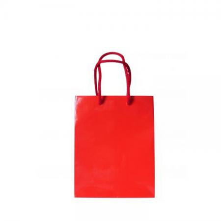 China Manufacturers Laminated Shopping Bag Printing For Garment