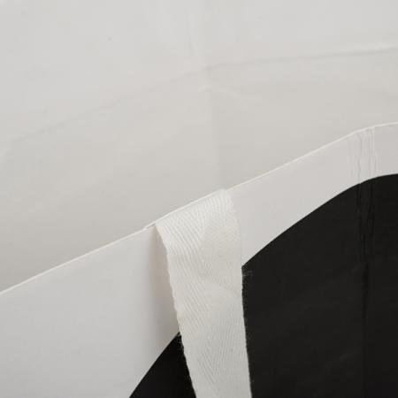 Luxury Cheap Shopping Garment Paper Bag Shoe Bag with Handles