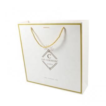 Carrier Bag Printed Shopping Paper Bag With Handle