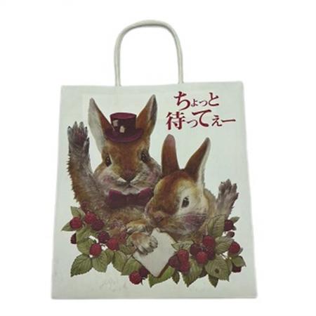 The design of the wholesale custom paper bag