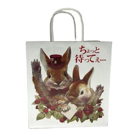 The design of the wholesale custom paper bag