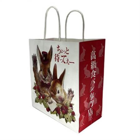 The design of the wholesale custom paper bag