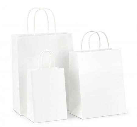 Wholesale Design Custom Exquisite White Kraft Paper Bag